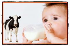 Laptele de vaca in alimentatia bebelusului
